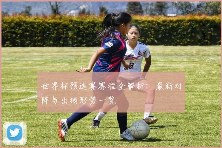 世界杯预选赛赛程全解析：最新对阵与出线形势一览