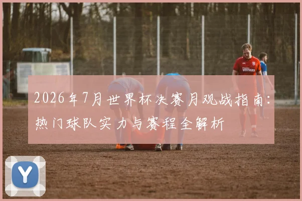 2026年7月世界杯决赛月观战指南：热门球队实力与赛程全解析